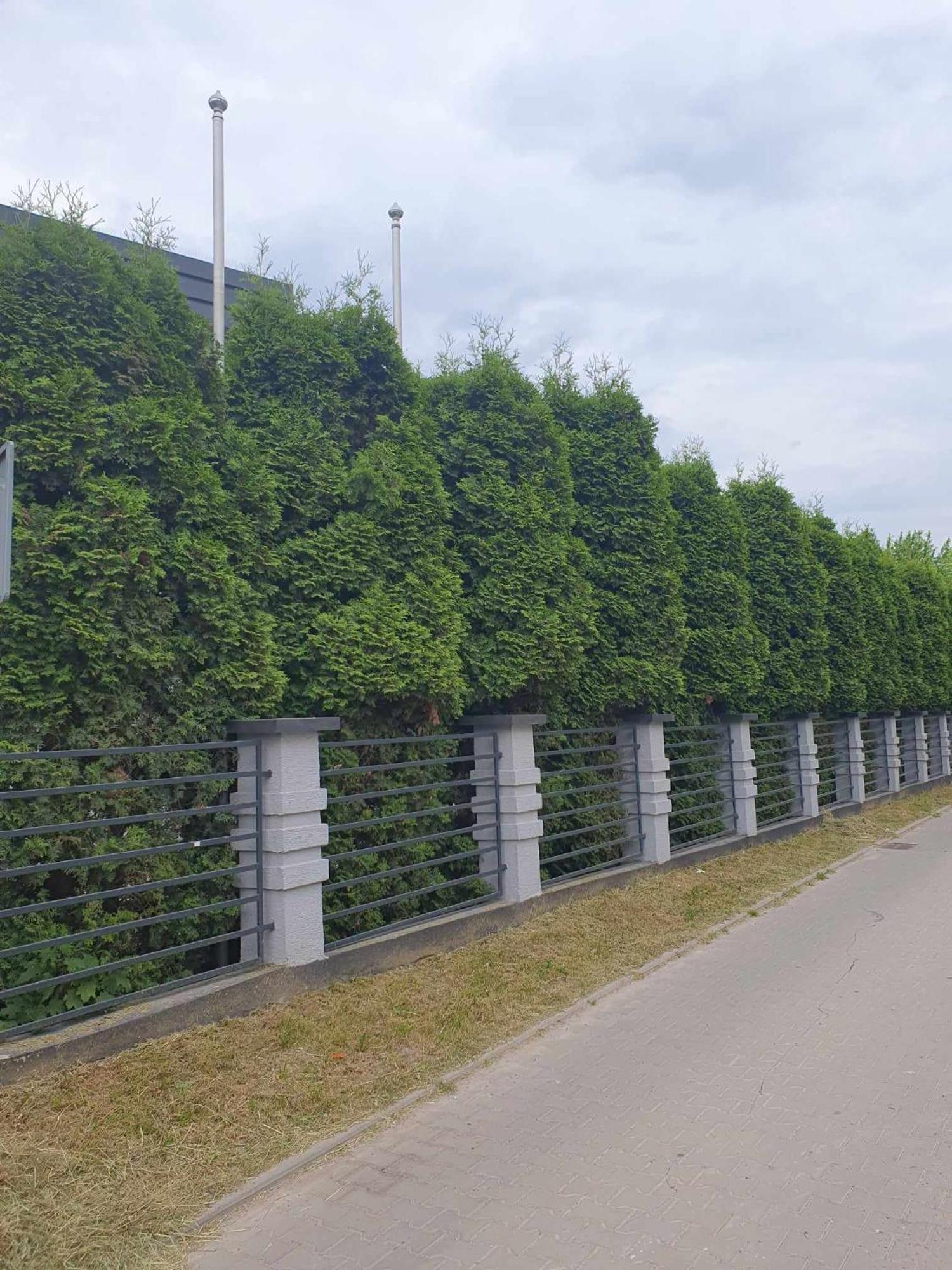 Ze Wspolna Lazienka I Kuchnia W Centrum Starachowic * Starachowice